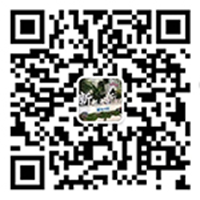 POS机办理网官方微信